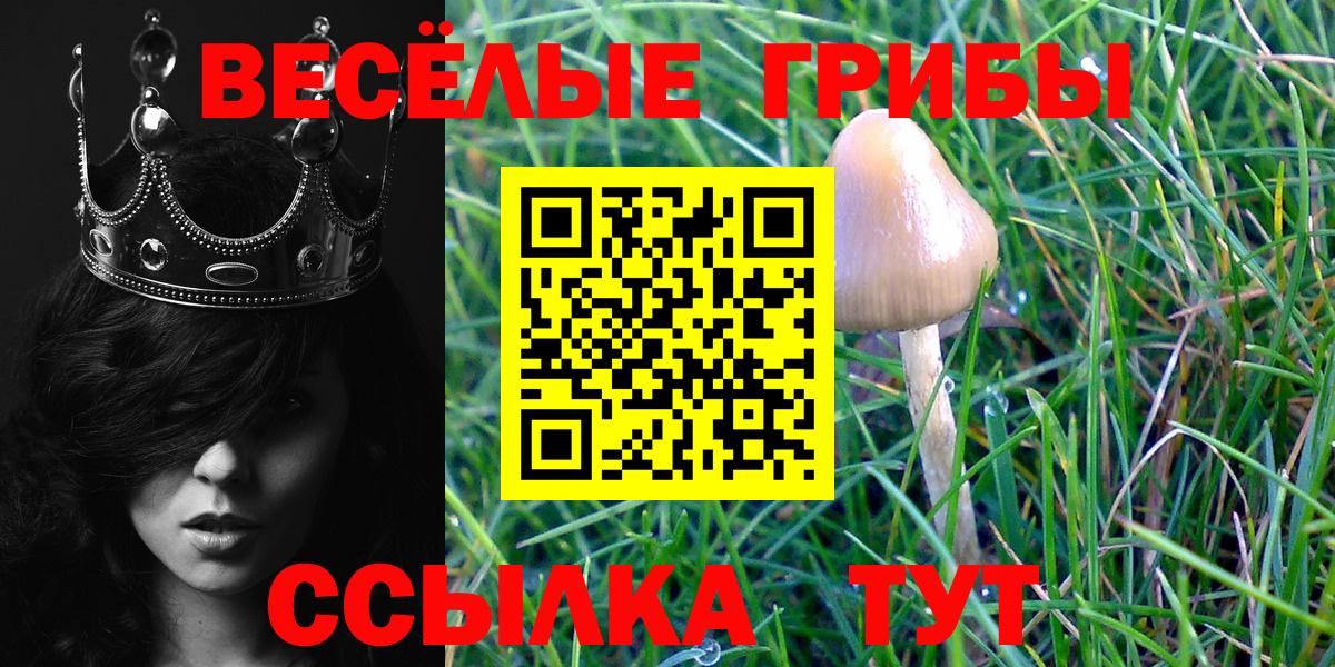 Десногорск  Псилоцибиновые грибы GOLDEN TEACHER  Вход с VPN 